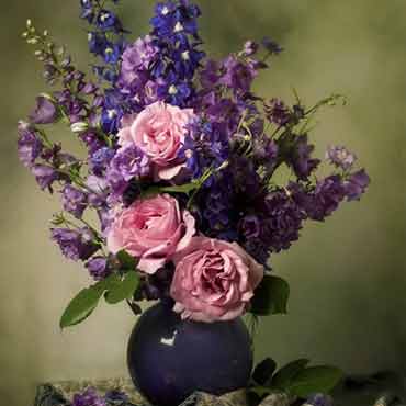 ddos攻击器安卓ios下载